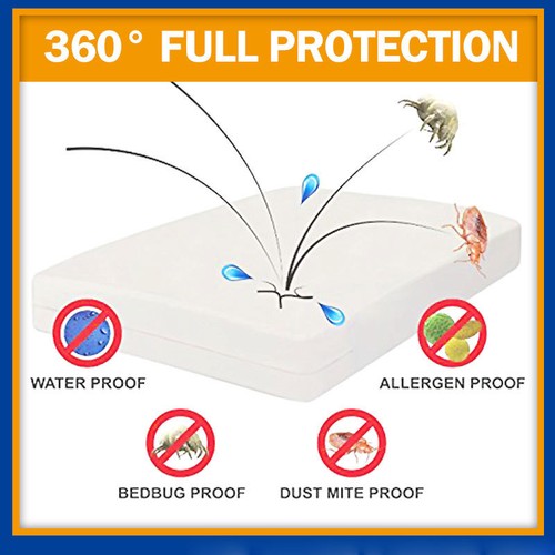 Queen bed bug proof - bug,