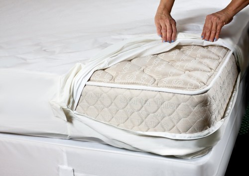 Top seller bed - seller!, protector