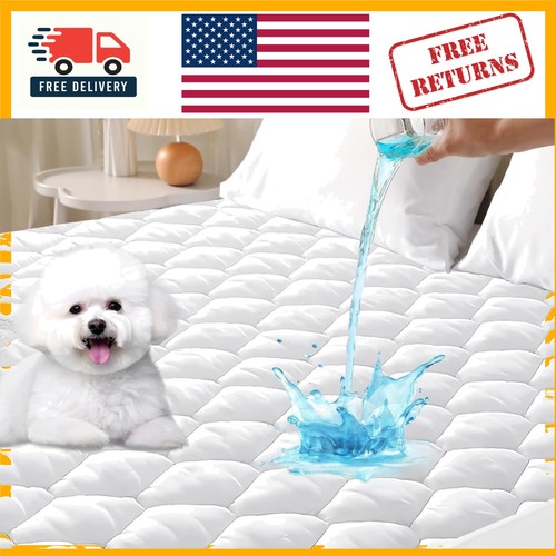 Queen mattress protector - queen,